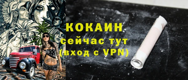 твердый Богородицк
