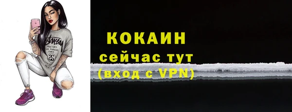 твердый Богородицк
