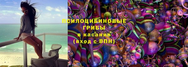 твердый Богородицк