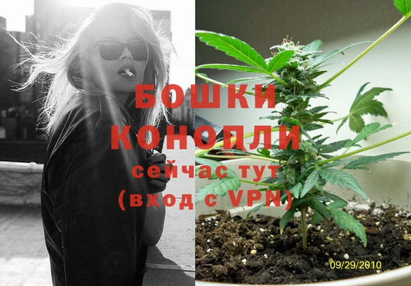 тгк Богородск