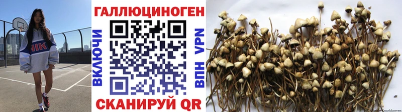 что такое наркотик Кущёвская Галлюциногенные грибы ЛСД
